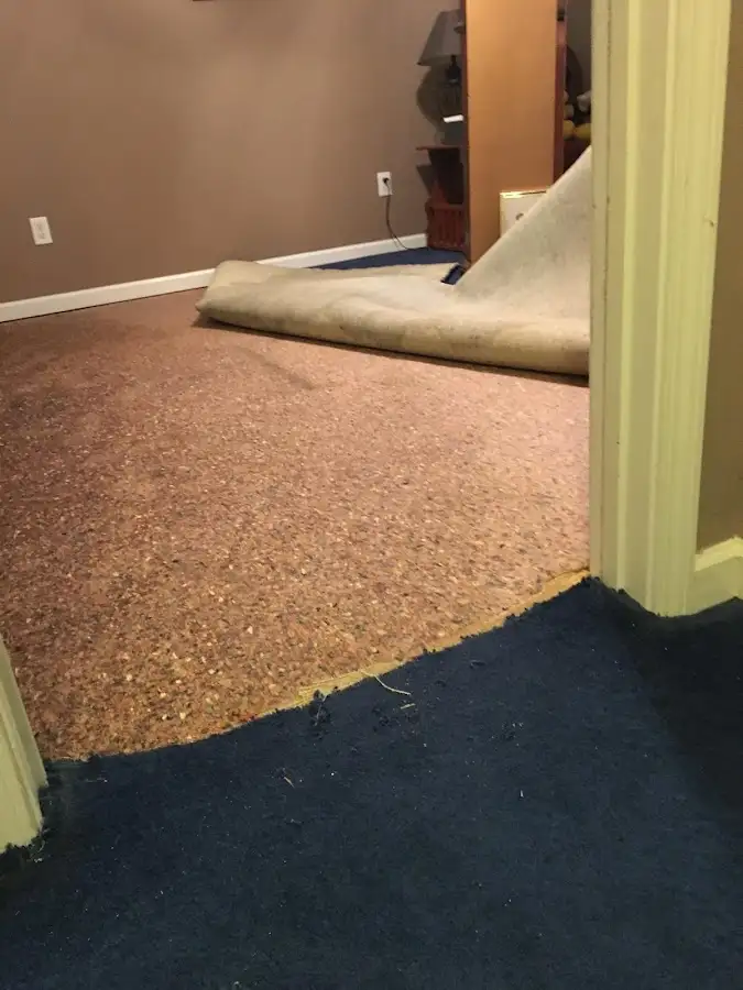 Carpet pad removal revealing water damage during Water Mitigation Services in Newington Forest