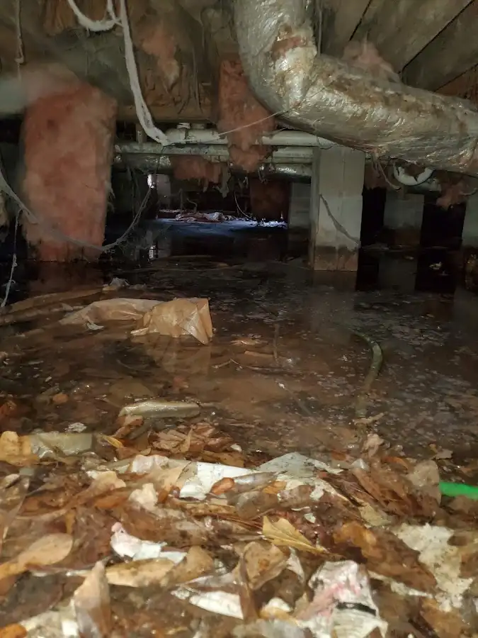 Crawl space flood assessment for Commercial Water Damage Restoration in Newington Forest