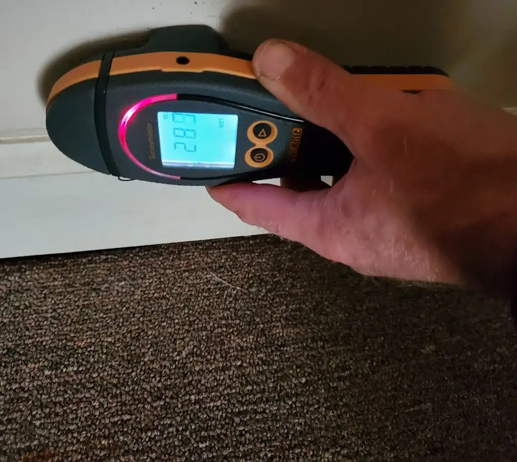 Moisture detection at baseboard during Sewage Cleanup & Sanitation in Newington Forest